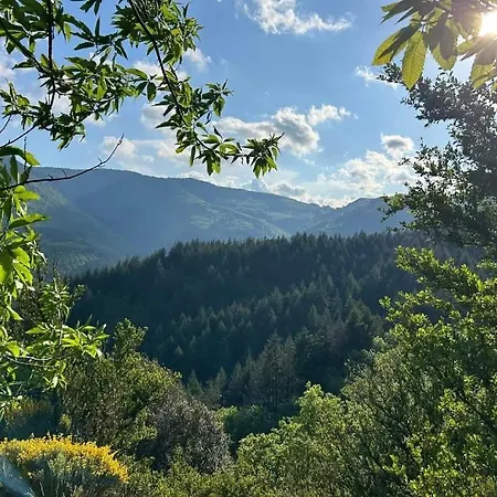 Tatil Evi Le Domaine De Valko