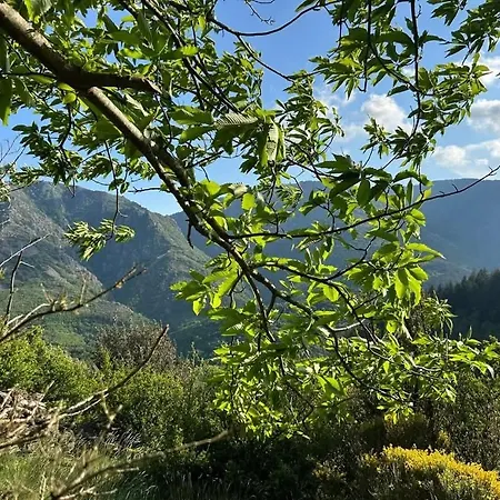 Le Domaine De Valko *