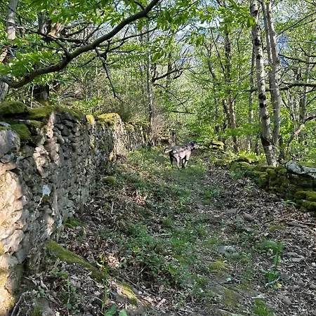 Tatil Evi Le Domaine De Valko Castanet-le-Haut