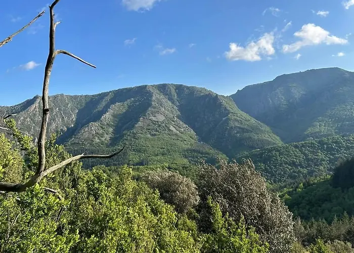 Le Domaine De Valko