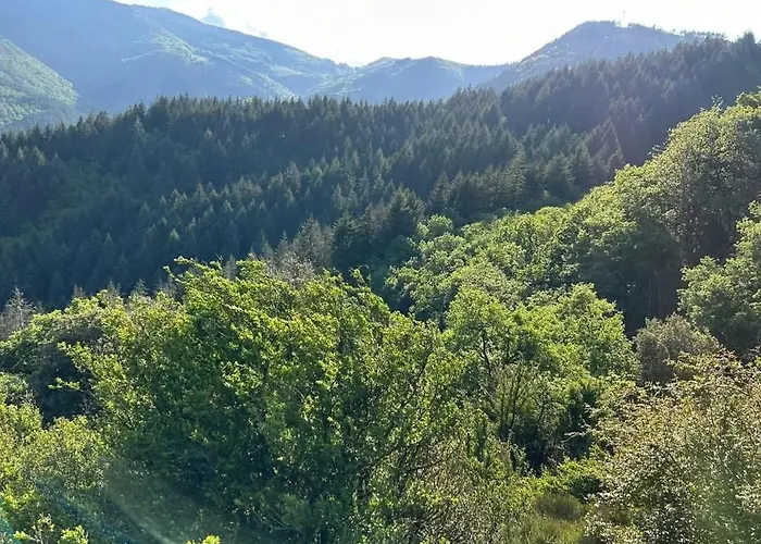 Le Domaine De Valko Casa vacanze