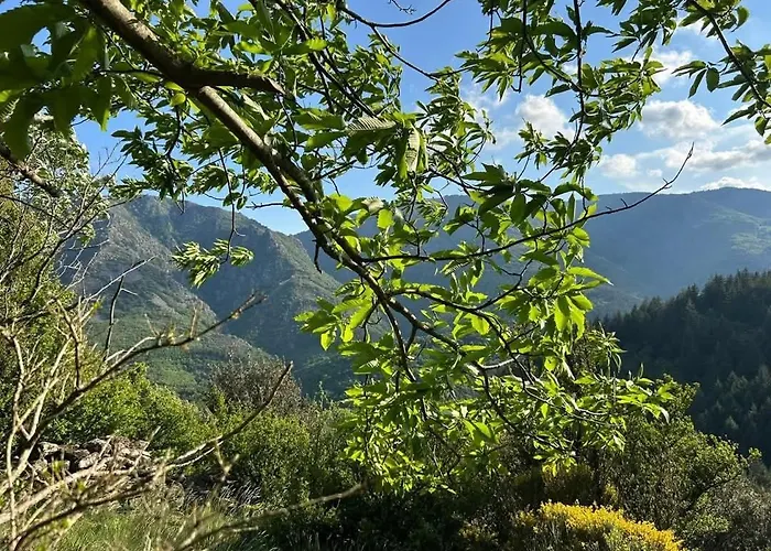 Le Domaine De Valko *