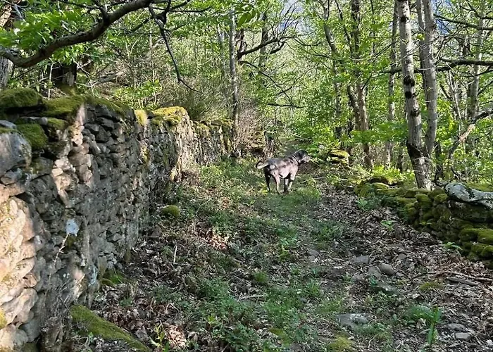 Casa vacanze Le Domaine De Valko Castanet-le-Haut
